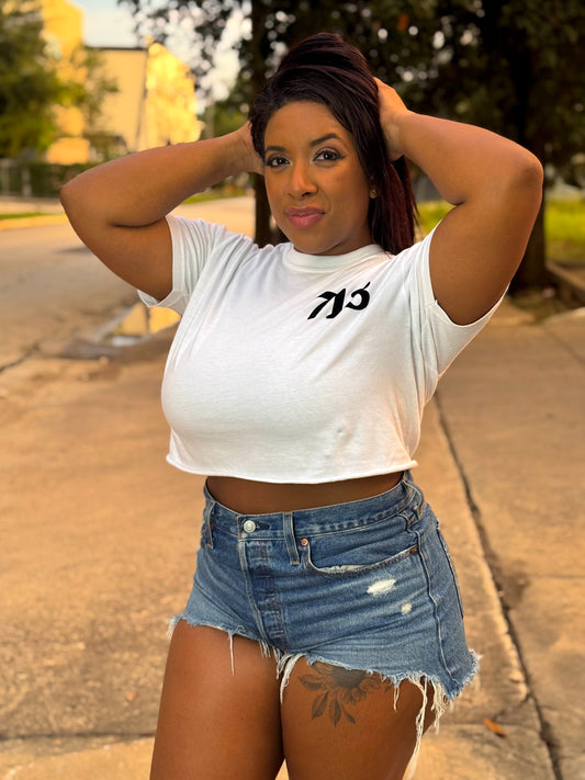 713 t-shirt